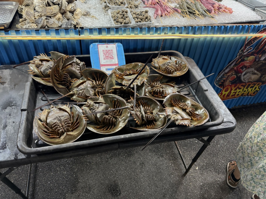 Zaynのダイアリー